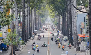 Toàn bộ hướng dẫn của TP Hồ Chí Minh về việc di chuyển trong địa bàn và ngoại tỉnh