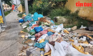 TP Hồ Chí Minh: Rác thải sinh hoạt chất đống gần nhà ga T3 Tân Sơn Nhất