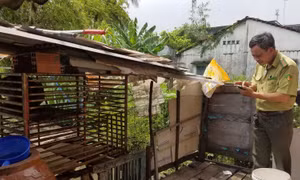 Bàn giao con khỉ đuôi lợn quý hiếm cho kiểm lâm TP Hồ Chí Minh
