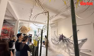 TP Hồ Chí Minh: Triển lãm nghệ thuật cắm hoa Ikebana