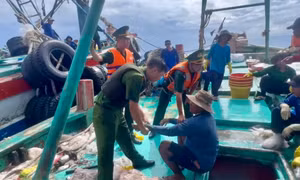 Bắt giữ đối tượng bị truy nã về tội giết người lẩn trốn trên tàu cá ở Côn Đảo