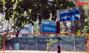 TP Hồ Chí Minh: Ban hành quyết định cưỡng chế công trình xây dựng trái phép trên đất giáo dục