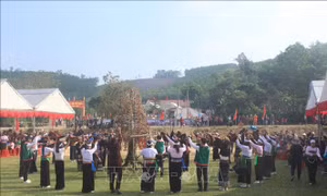 Vinh danh Lễ hội 'Kin Chiêng Boọc Mạy' - Hát múa ăn mừng dưới cây bông