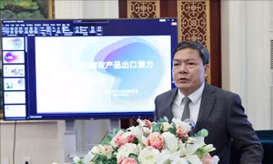 Tăng cường giao thương giữa các doanh nghiệp thương mại nông sản Việt - Trung