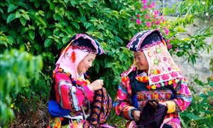 Đưa sản phẩm thổ cẩm truyền thống vào hoạt động du lịch