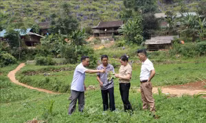Sóc Hà - 'Đất lửa' hồi sinh