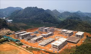Triển khai 'Chiến dịch 100 ngày đêm cao điểm' hoàn thành 100 trường nội trú các xã biên giới trước năm học 2026-2027