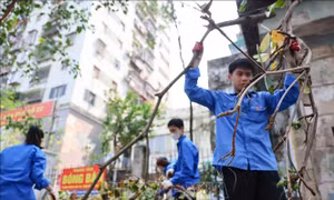 Thanh niên Hà Nội xung kích tổng vệ sinh môi trường sau bão