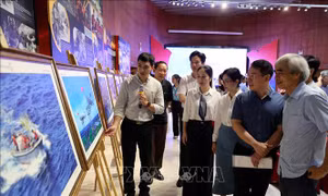 Giới thiệu trên 200 tác phẩm ảnh, video đặc sắc ở triển lãm Việt Nam hạnh phúc