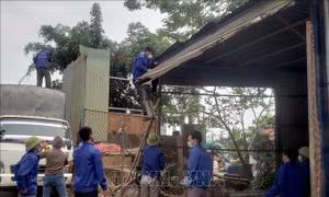 Xử lý vi phạm pháp luật về đất đai tại Yên Lạc, Vĩnh Phúc