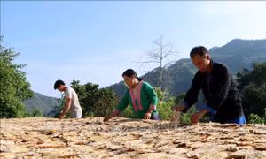 Cảm hóa bằng niềm tin để người dân tham gia bảo vệ Tổ quốc - Bài cuối: Không để vùng khó lùi phía sau