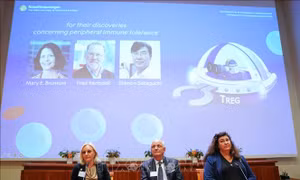 Nobel 2025: Sự kỳ diệu của 'lá chắn an ninh sinh học'