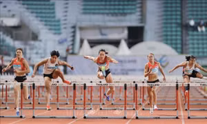 SEA Games 33: Việt Nam tập trung săn Vàng ở môn Điền kinh và Bơi lội