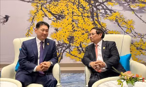 Việt Nam thúc đẩy hợp tác với nhiều nước và tổ chức quốc tế