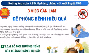 3 việc cần làm để phòng bệnh hiệu quả