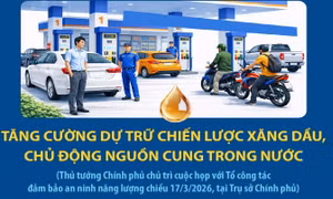 Thủ tướng Chính phủ Phạm Minh Chính: Tăng cường dự trữ chiến lược xăng dầu, chủ động nguồn cung trong nước