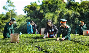 Nhân rộng mô hình 'Làng Quân - Dân'