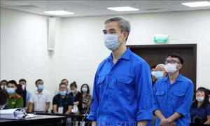 Bị cáo Nguyễn Quang Tuấn mong tiếp tục được đóng góp cho ngành y