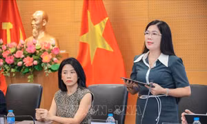 Ra mắt Giải thưởng Việt Nam Rồng Xanh: Kiến tạo những giá trị mới cho văn hóa, di sản