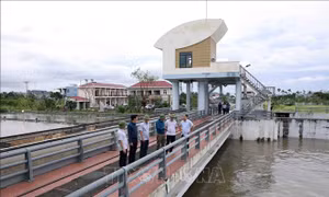 Hải Dương: Phát lệnh báo động III trên hệ thống sông Thái Bình