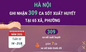 Hà Nội ghi nhận 309 ca mắc sốt xuất huyết tại 65 xã, phường