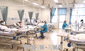Các thành viên đội bóng nhí Thái Lan sẽ họp báo trước khi ra viện