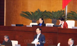 Các lợi ích cốt lõi của Việt Nam được đảm bảo khi tham gia CPTPP