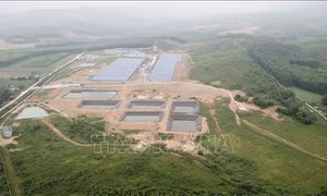 Trại lợn công nghệ cao bị tố gây ô nhiễm môi trường