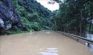 Các cơ sở y tế sẵn sàng thu dung, cấp cứu nạn nhân do mưa, bão gây ra