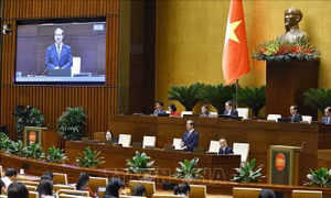 Nhiều ý kiến quan tâm về chi cho giáo dục đại học, tư vấn tâm lý học đường