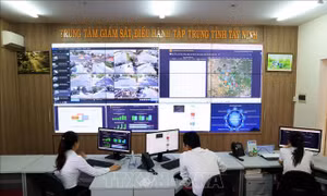 Khai thác nền tảng số dùng chung, tạo chuyển biến thực chất