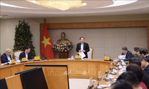 Tạo nền tảng pháp lý vững chắc cho phát triển lâu dài