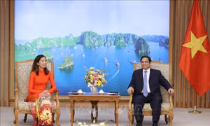 Thủ tướng Phạm Minh Chính tiếp Điều phối viên thường trú LHQ trình Thư ủy nhiệm