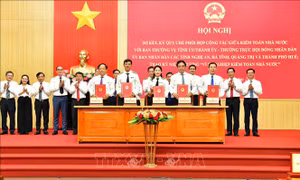 Phối hợp hiệu quả, hạn chế sự trùng lặp và chồng chéo trong công tác kiểm toán