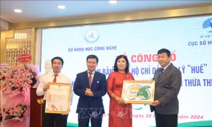 Phát triển thương hiệu đặc sản thanh trà Huế