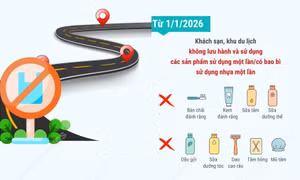 Hà Nội: Lộ trình giảm phát thải nhựa vì tương lai xanh, sạch