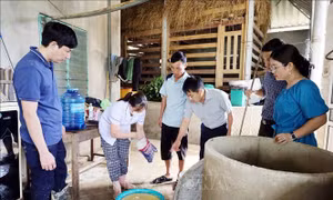 Bão số 10: Hà Tĩnh xử lý môi trường, phòng chống dịch bệnh sau mưa bão
