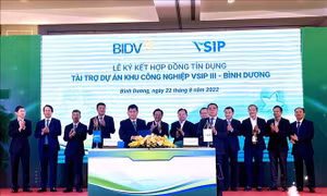 Rót 4.600 tỷ đồng phát triển Khu công nghiệp Việt Nam - Singapore III 