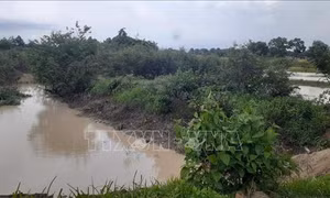 Khai thác cát gây ô nhiễm suối Đá