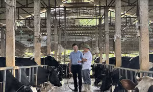 Nhà khoa học của nhà nông và khát vọng nâng tầm nông sản địa phương