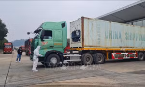 Lào Cai đón tín hiệu vui từ hoạt động xuất nhập khẩu ngày đầu năm mới