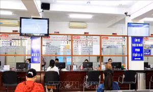 Bà Rịa - Vũng Tàu tạo bứt phá từ chương trình chuyển đổi số - Bài 1: Đưa Nghị quyết vào cuộc sống