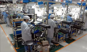Nhân lực cho doanh nghiệp: Để cung gặp cầu