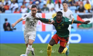 World Cup 2022: Bảng G - Cơ hội chia đều cho Serbia và Thụy Sĩ