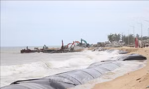 Khẩn trương xây dựng “lá chắn” bảo vệ bờ biển Thuận An