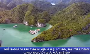 Miễn, giảm phí thăm Vịnh Hạ Long, Bái Tử Long cho người già và trẻ em
