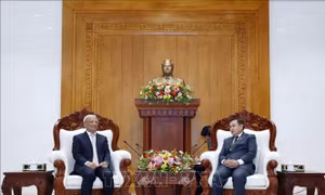 Lãnh đạo Lào đánh giá cao chuyến thăm của Ủy ban Hòa bình Việt Nam