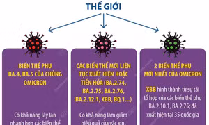 WHO: Vaccine vẫn có giá trị bảo vệ cao trước đại dịch COVID-19
