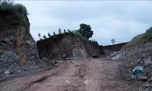 Xác minh trách nhiệm các bên liên quan vụ san đất trái phép tại Đơn Dương, Lâm Đồng