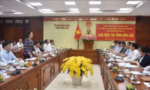 Đắk Lắk cần tập trung xây dựng nguồn nhân lực công trên các lĩnh vực